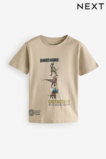 Stone Natural History Museum Short Sleeve 100% Cotton T-Shirt (3-16yrs) (AD1732) | £15 - £18