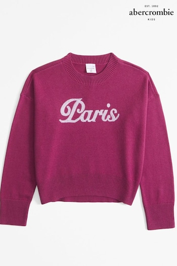 Abercrombie & Fitch Pink Knitted Crew Neck Jumper (AH5772) | £40 - £42