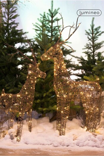 Lumineo Brown Pre-Lit LED Outdoor Christmas Wicker Large Large Deer (AJ1732) | £70