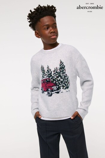 Abercrombie & Fitch Natural Knitted Christmas Jumper (AL7482) | £40 - £42