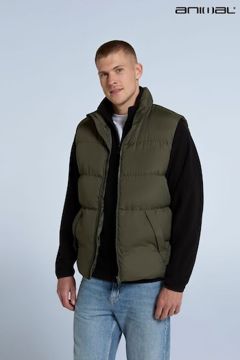 Animal Green Haworth Mens Padded Gilet (AN5035) | £45