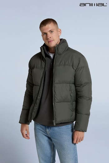 Animal Green Volt Mens Padded Jacket (AN5036) | £95