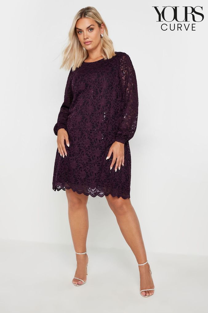 Curve lace dress 2025