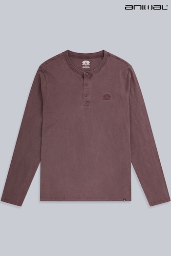 Animal Purple Mens Noah 100% Cotton Organic Henley Top (AU4945) | £23