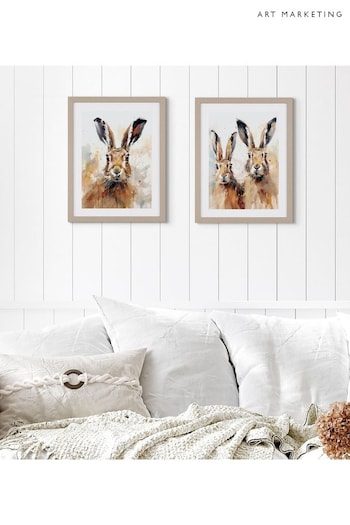 Art Marketing Brown Harry Hare Wall Art (AW0453) | £36