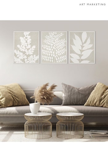 Art Marketing Natural Triptych Leaf Prints Wall Art (AW0475) | £104