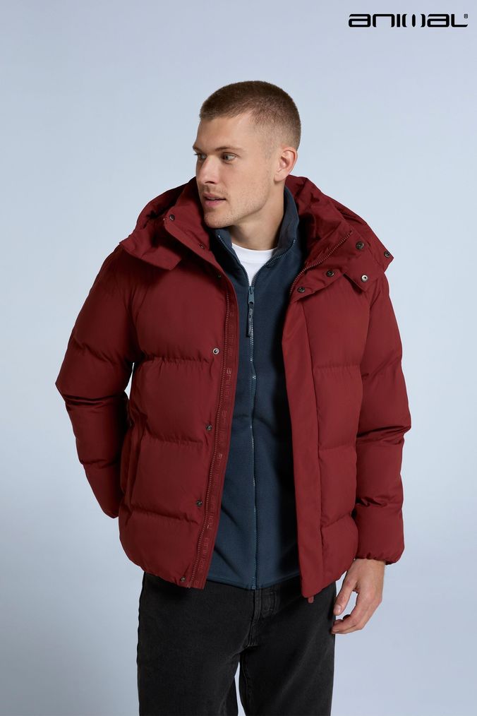 Next red jackets sale