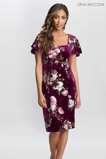 Gina Bacconi Paulina Square Neck Foil Printed Velvet Dress (AY9475) | £220