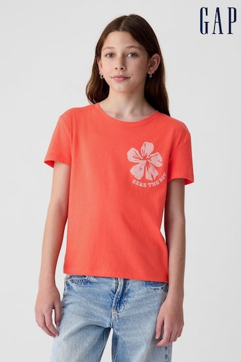 Gap Orange Cotton Graphic Crew Neck Short Sleeve T-Shirt (4-13yrs) (B05131) | £10