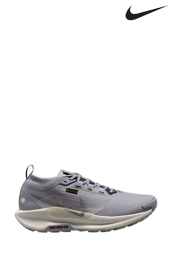 Nike Grey/Blue Pegasus Trail 5 GORE-TEX Trail Running Trainers (B07307) | £145