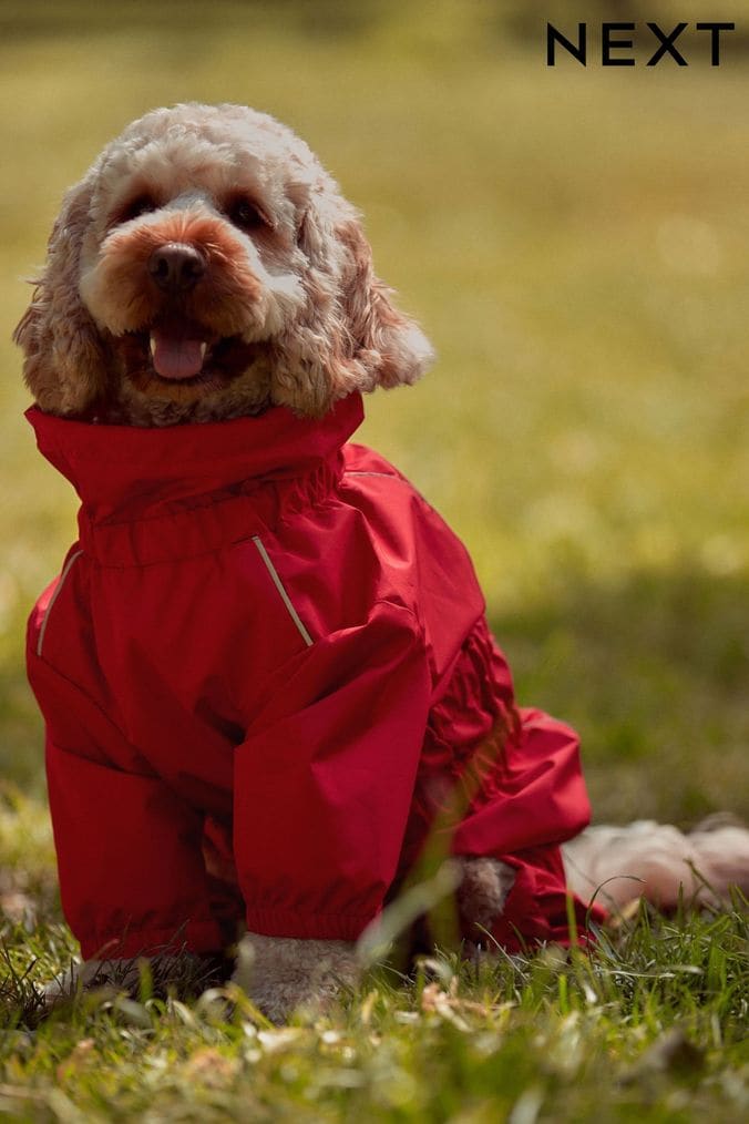 Dog Coats Waterproof Dog Coats Next UK