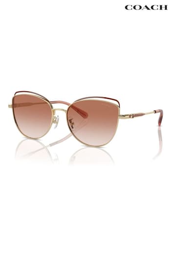 COACH Gold Tone Hc7162 Cat Eye Sunglasses (B16833) | £149