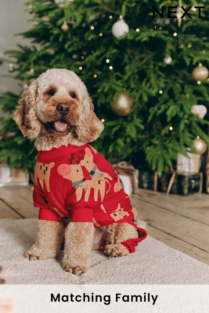 Matching baby and dog christmas outfits hot sale