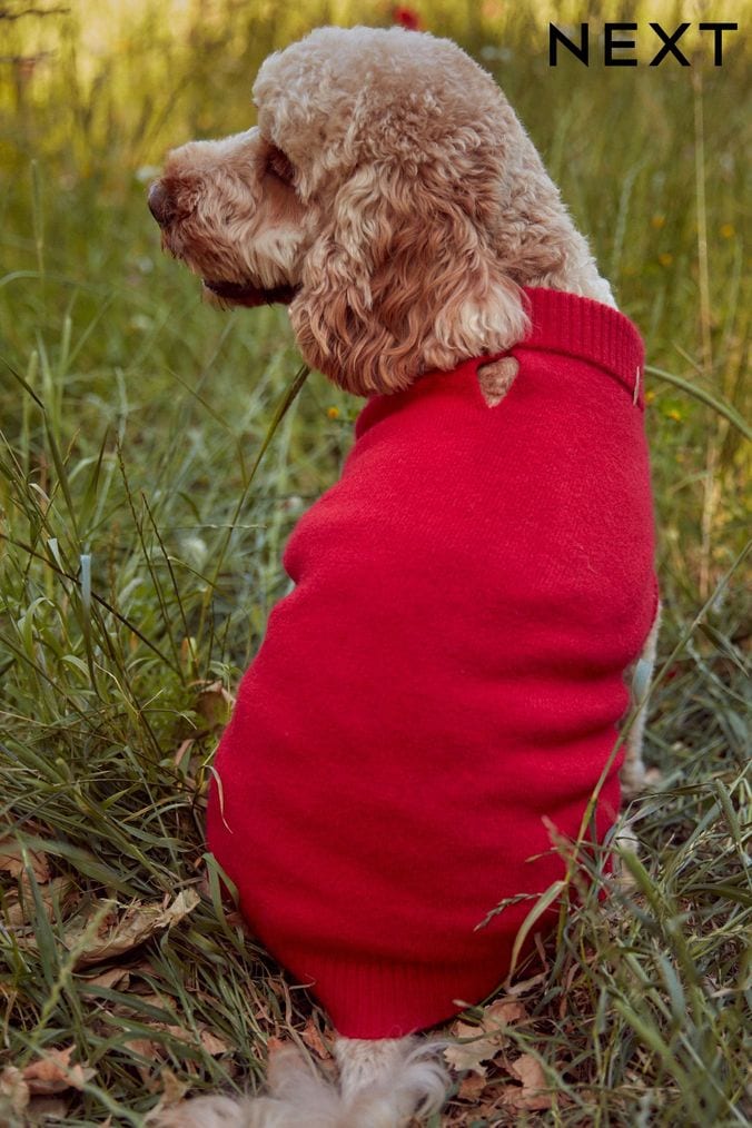 Next dog christmas jumper discount