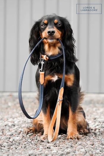 Lords and Labradors Denim Essentials Twill Dog Collar (B23477) | £19 - £25