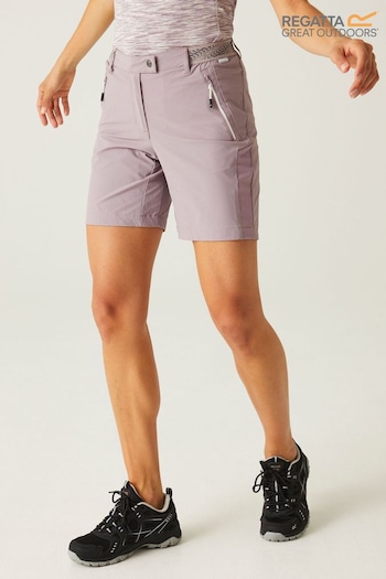 Regatta Purple Regatta Womens Mountain II Walking Shorts (B23825) | £49