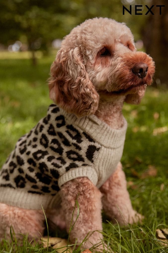 Buy Pets Pet Jumpers Online Next UK