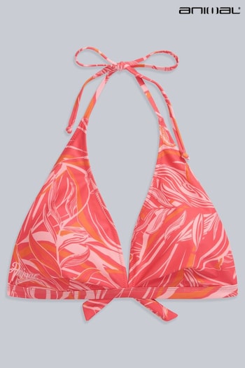 Animal Iona Halter Coral Printed Bikini Top (B26529) | £25