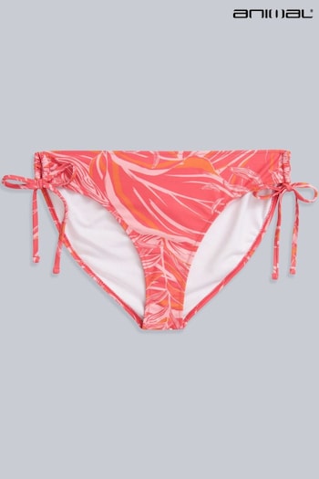 Animal Pink Iona Tie Side Printed Bikini Bottoms (B30751) | £25
