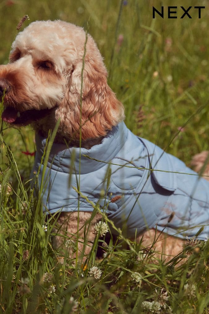 Dog Coats Waterproof Dog Coats Next UK
