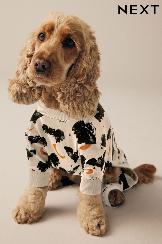 Dog jumpers next sale