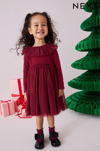 Burgundy Long Sleeve Mesh Dress (3mths-7yrs) (B46000) | £18 - £22