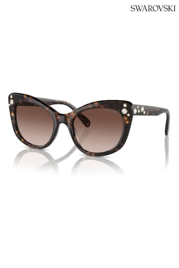Swarovski Brown Sk6020 Cat Eye Sunglasses (B46613) | £180