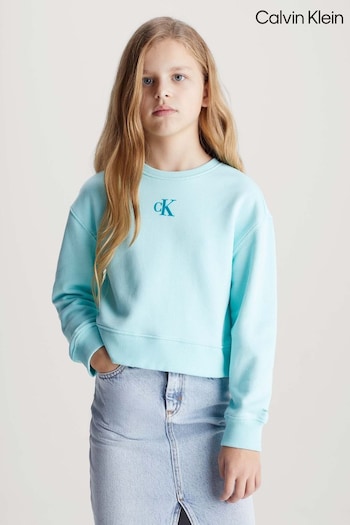 Calvin deux Klein Logo Sweatshirt (B47003) | £50 - £60