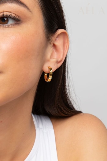 Aela Gold Tone Diamond Simulant CZ Stone Hoops Earrings (B50919) | £16.50
