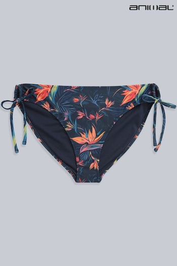 Animal Iona Orange Tie Side Antonioed Bikini Bottoms (B51773) | £25