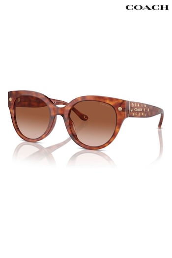 COACH Schwarz Hc8393U Round Brown Sunglasses (B54511) | £149