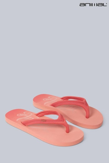 Animal Slim Pink Swish Flip Flops (B55763) | £22