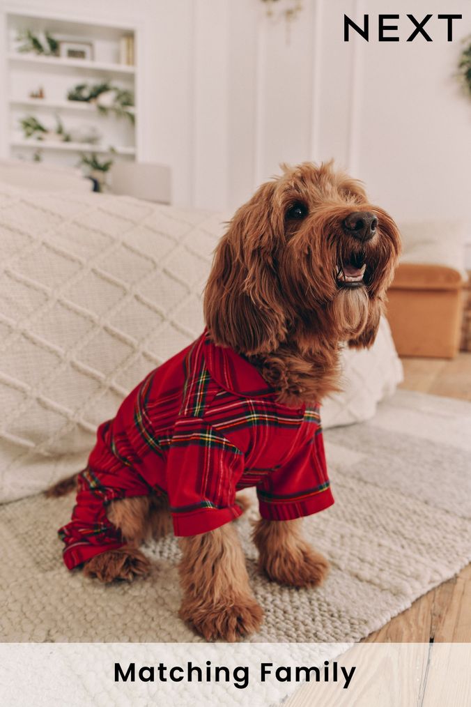 Buy Check Tartan Pet Accessories Matchingfamilynightwear Online Next UK
