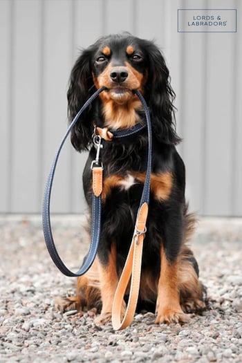 Lords and Labradors Denim Essentials Twill Dog Lead (B63376) | £25 - £30