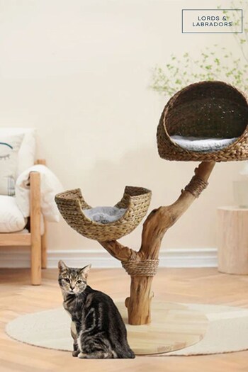 Lords and Labradors Grey Back to Nature Duo Cat Scratch Post (B63788) | £180