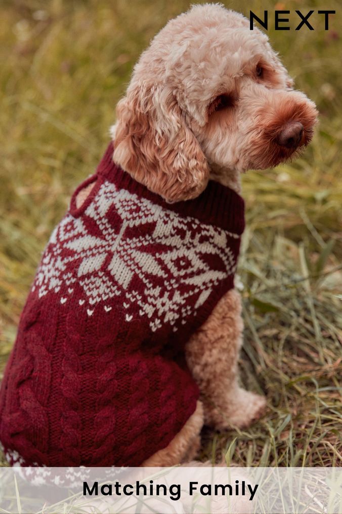 Dog jumpers next clearance