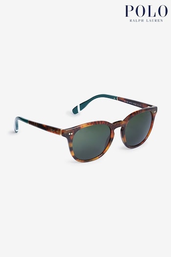 Polo Ralph Lauren PH4206 Brown Sunglasses (B67274) | £148