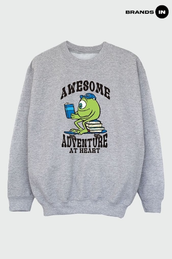 continues In Grey Monsters Inc Mike Reading Awesome Adventure Boys Heather Sweatshirt (B67741) | £24