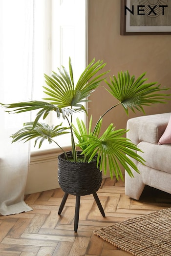 Green Artificial Palm Leaf In Rattan Footed Pot (B6W012) | £115