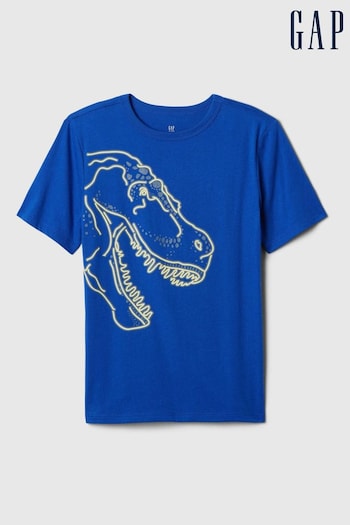 Gap Blue Graphic Crew Neck Short Sleeve T-Shirt (4-13yrs) (B71392) | £10