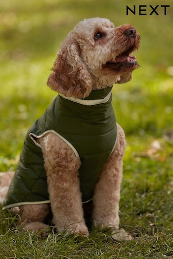 Green/Orange Reversible Padded Dog Coat (B71542) | £24 - £28