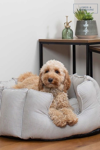 Lords and Labradors Regency Stripe Striped High Sided Dog Bed (B71594) | £95 - £155