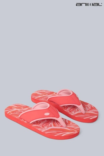 Animal Orange Swish Printed Flip Flops (B72347) | £22