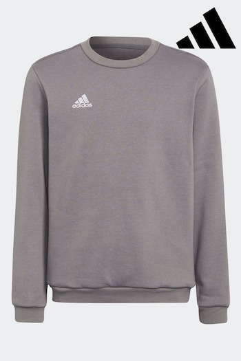 adidas Grey Entrada 22 Sweatshirt (B74531) | £30