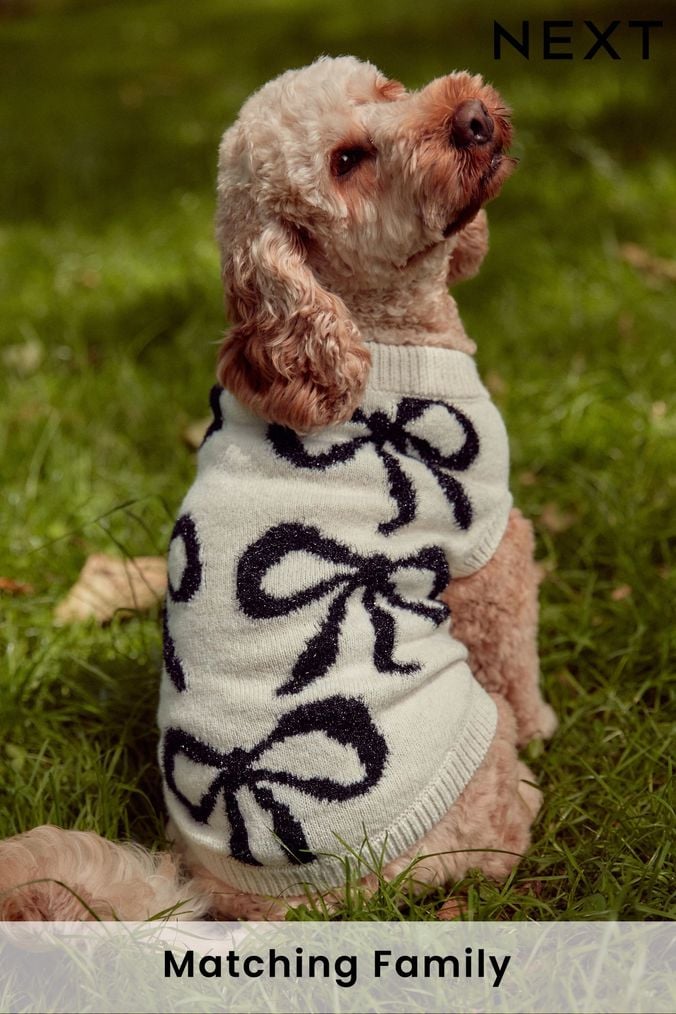 Christmas jumper dog print shop