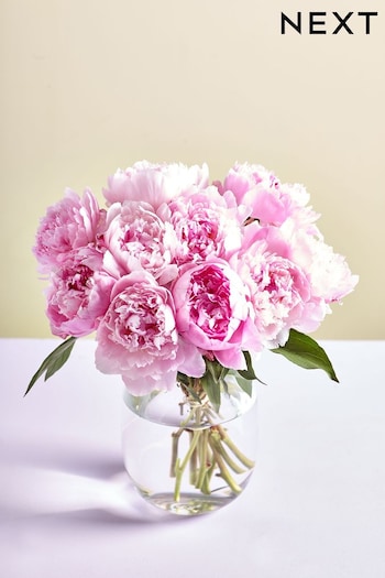 Pink Peony Fresh Flower Bouquet in Letterbox (B75395) | £32