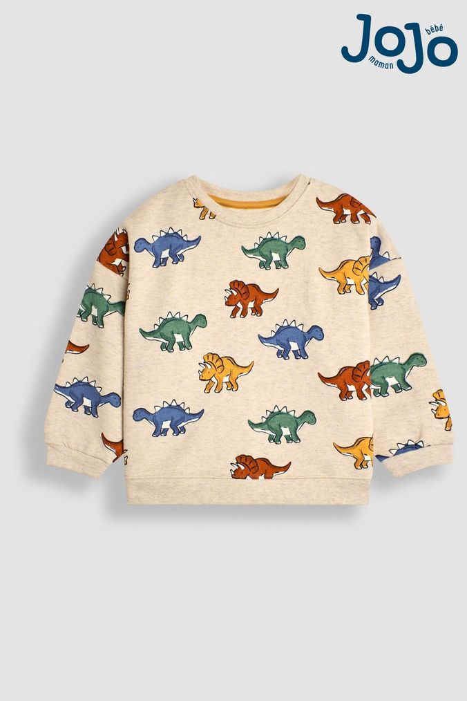 Buy Boys Dinosaur Sweatshirtsandhoodies Online Next UK