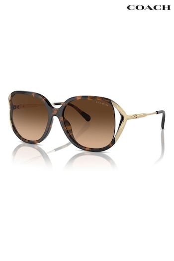 COACH Onitsuka Hc8396U Square Brown Sunglasses (B79402) | £139