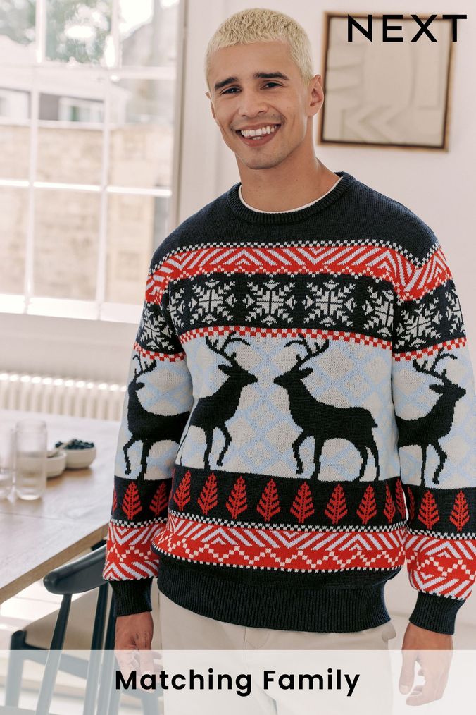 Buy Men s Christmas Sweater Plus Size Online Next UK