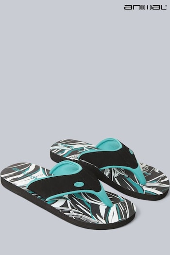 Animal Blue Swish Printed Flip Flops (B81775) | £22